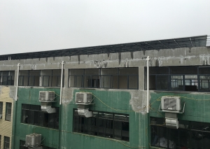 香蕉视频APP软件91香蕉短视频